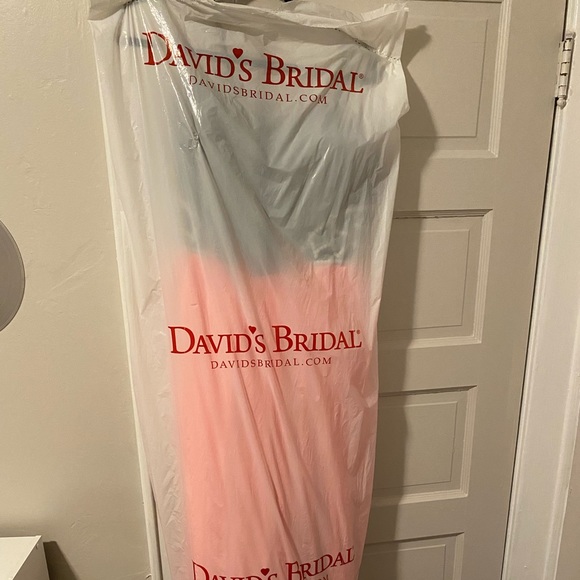 David’s Bridal (Blondie Nites) Prom Dress - Picture 12 of 12